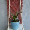 planter-shelf