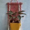 planter-shelf
