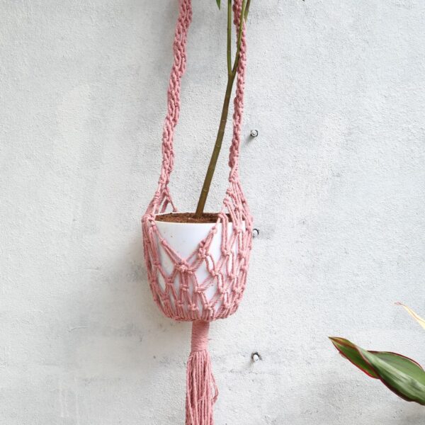 planter-plant-hanger