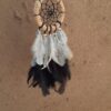wcc1 dream-catcher