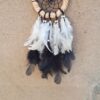 wcc2 dream-catcher