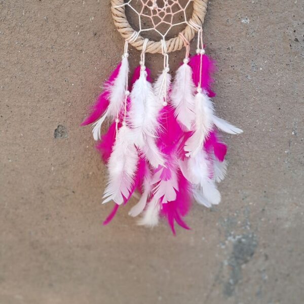 wcc3 dream-catcher