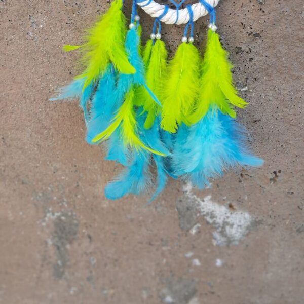 wcc4 dream-catcher