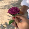 crochet-rose-stick