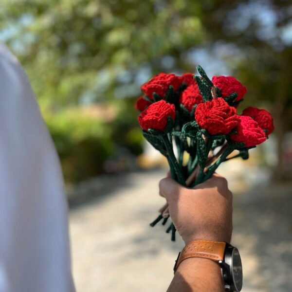 crochet-rose-garden-pack -of-7-mixed-colours