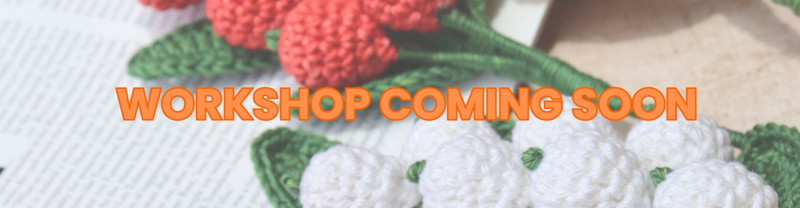 Workshop Coming Soon