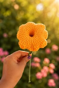 morning-glory-flower