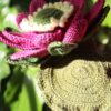 Crochet-Lotus-flower4