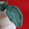 Crochet-dahlia-flower-combo3